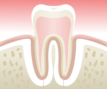 Dentiste Paris 1