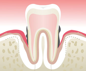 Dentiste Paris 1